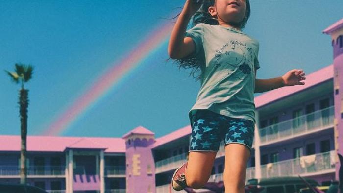 the florida project