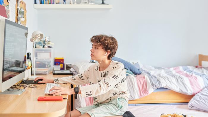 Teen boy using computer in a cozy bedroom setting.