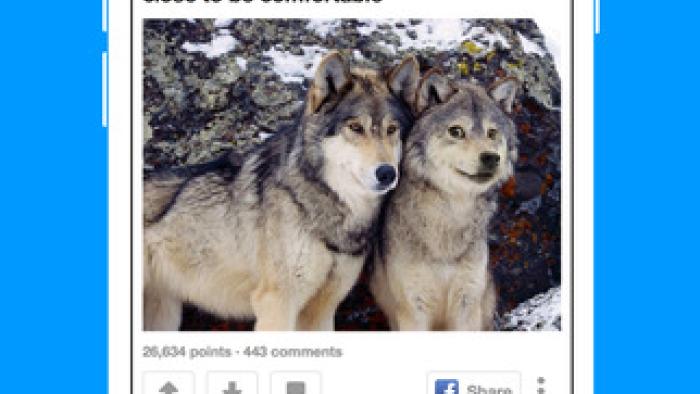 9GAG - Funny pics and videos App: Screenshot #1