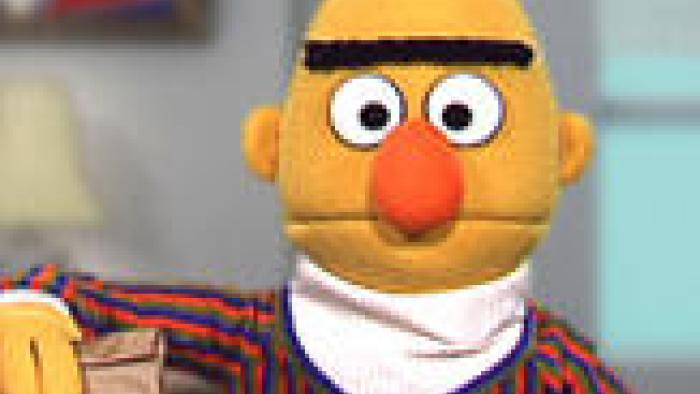Bert's Bag App: Screenshot #2