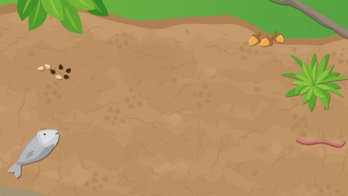 Camping With Grandpa App Screenshot #3