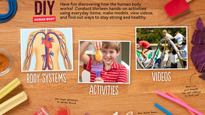 DIY Human Body App: Screenshot #1