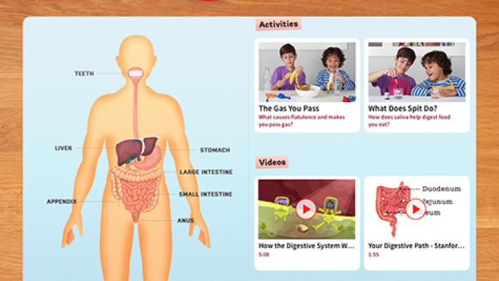 DIY Human Body App: Screenshot #2