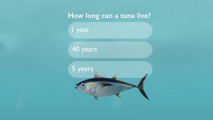 Finding Stubby App: Screenshot #2