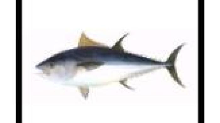 Fishin' 2 Go App: Screenshot #2
