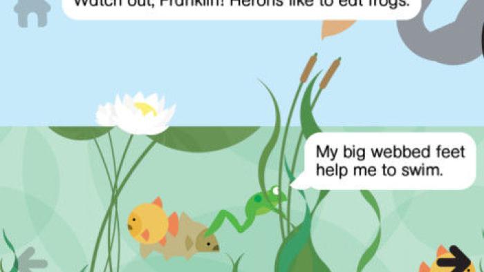 Rounds: Franklin Frog App: Screenshot #2