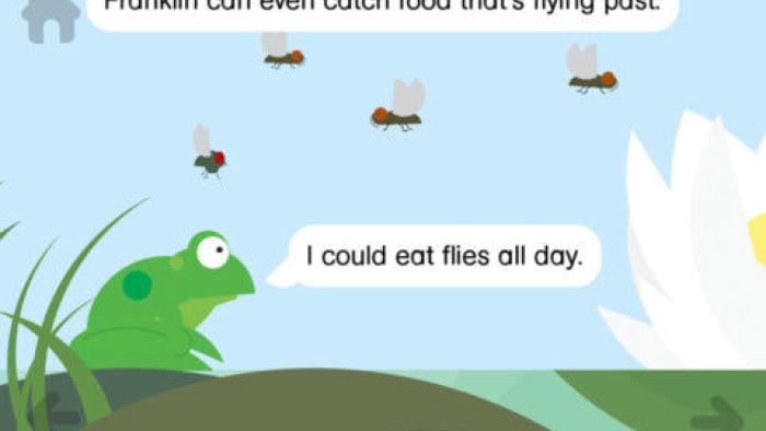 Rounds: Franklin Frog App: Screenshot #3
