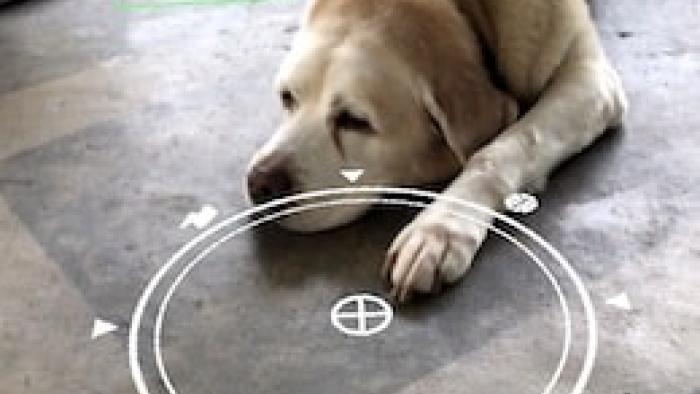 GIPHY World: AR GIFs + Stickers App: Screenshot #2