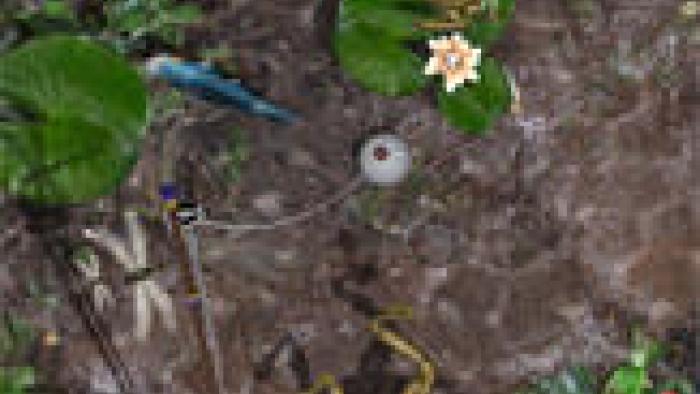 iFish Pond HD App: Screenshot #1