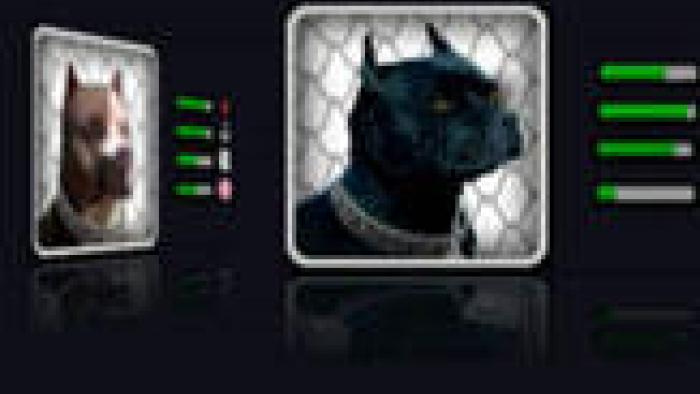 KG Dogfighting App: Screenshot #3