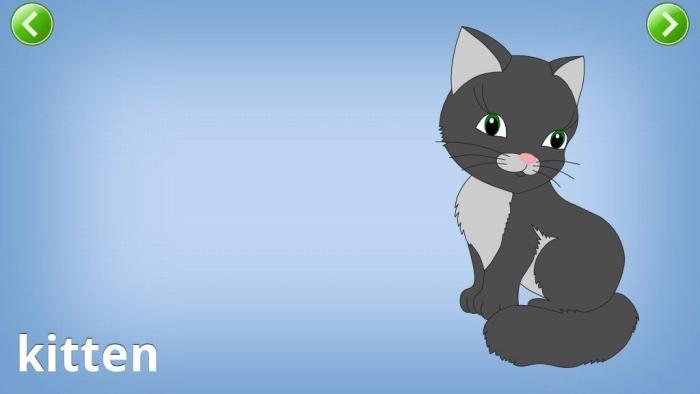 Kids Preschool Puzzles App: Screenshot #2