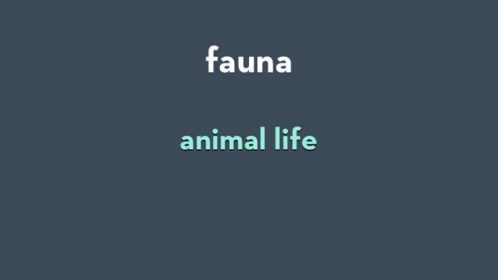 Kids' Vocab - Mindsnacks App: Screenshot #3