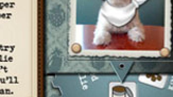 Millie Was Here, Book 1: Meet Millie App: Screenshot #1