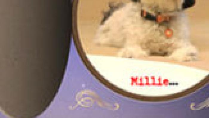 Millie Was Here, Book 1: Meet Millie App: Screenshot #2