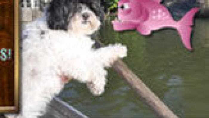 Millie & The Lost Key - Millie Was Here, Book 2 App: Screenshot #2