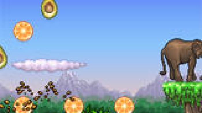 Monkey Flight App: Screenshot #2