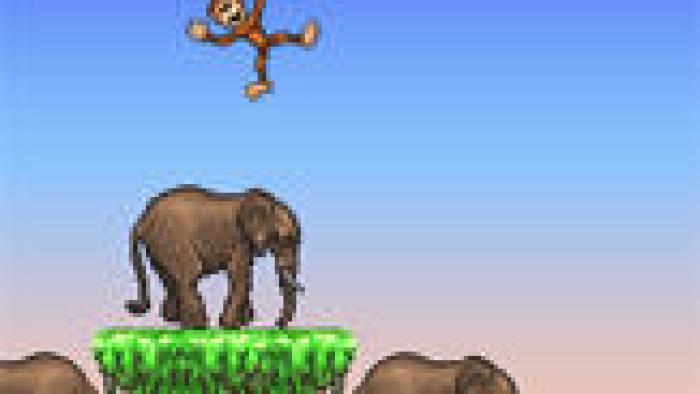 Monkey Flight App: Screenshot #3