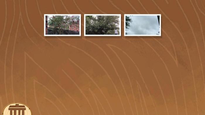 Nature Cat's Great Outdoors App: Screenshot #2
