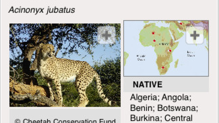 Species on the Edge App: Screenshot #2
