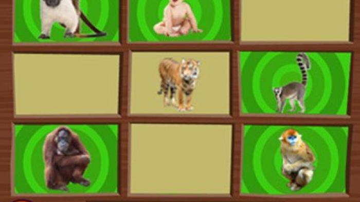 LeapFrog Explorer Learning Game: Super Animal Genius Game: Screenshot #1
