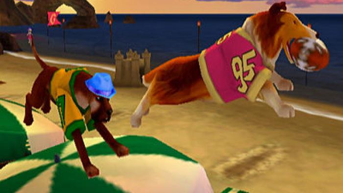 Jerry Rice and Nitus' Dog Football Game: Screenshot #3