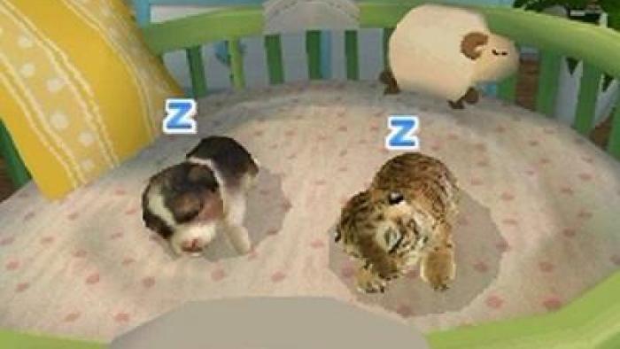 Petz Nursery 2 Game: Screenshot #1