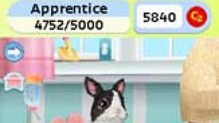Petz Bunnyz Bunch Game: Screenshot #2