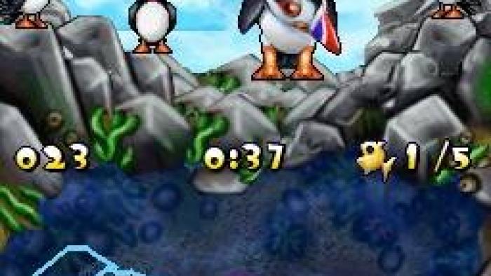 Puffins Island Adventure Game: Screenshot #2