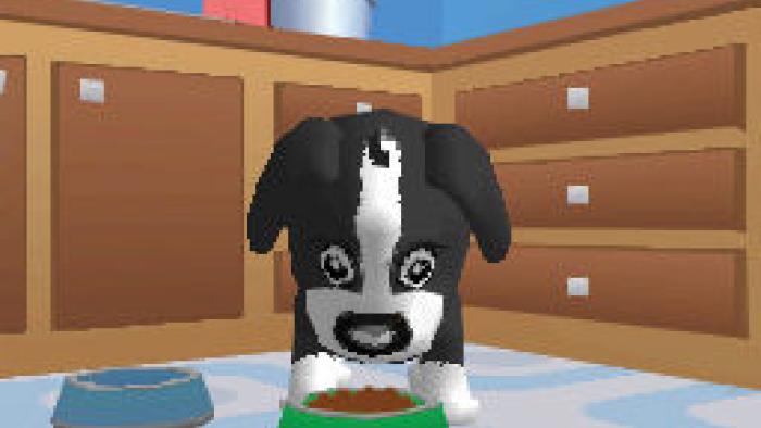 Dora & Kai-Lan's Pet Shelter Game: Screenshot #2