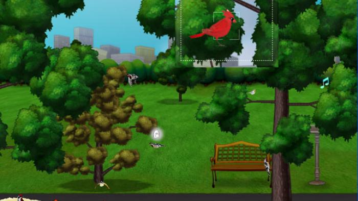 Snapshot Adventures: Secret of Bird Island Game: Screenshot #1
