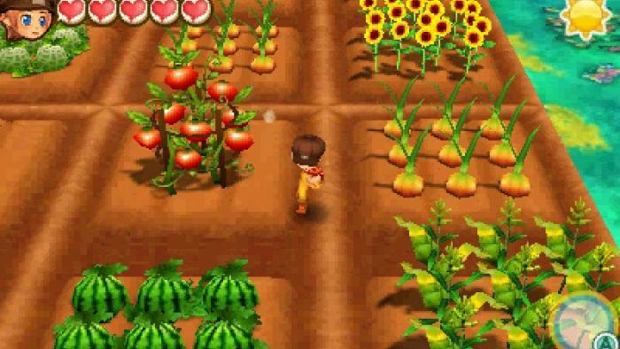 Story of Seasons: Trio of Towns Screenshot #1