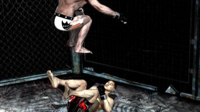 Supremacy MMA Game: Screenshot #3