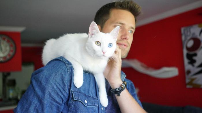 Cat Daddies Movie: Nathan Kehn