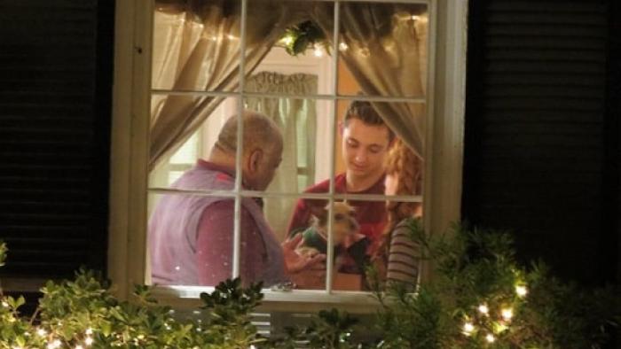 12 Dog Days Till Christmas movie: Scene #4