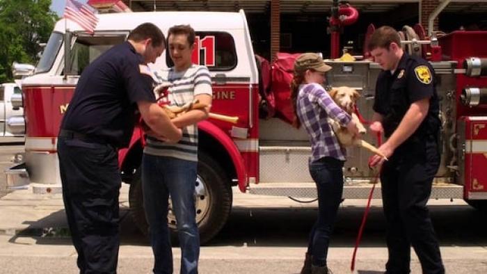 12 Dog Days Till Christmas movie: Scene #3