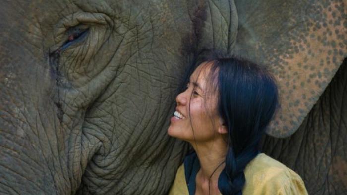Love & Bananas: An Elephant Story Movie: Scene #2