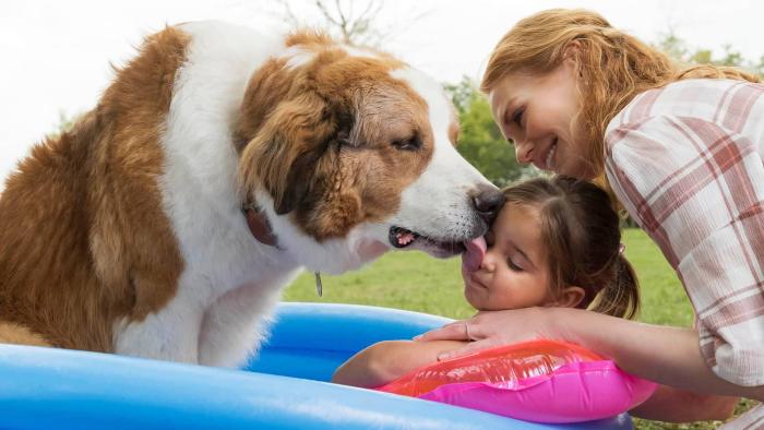 A Dog's Journey Movie: Bailey licks CJ's face while Hannah watches on