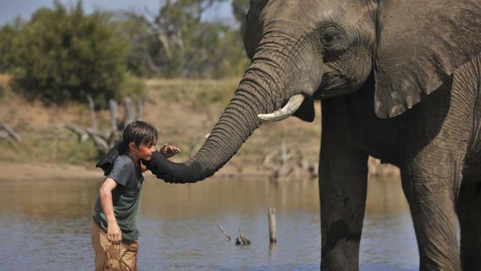 Against the Wild 2: Survive the Serengeti Movie: Scene Two