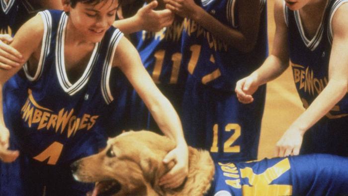 Air Bud Movie: Teammates in basketball uniforms huddle around a Golden Retriever, smiling.