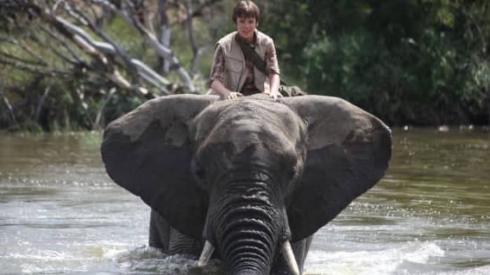 An Elephant's Journey Movie: Phoenix and His New Friend