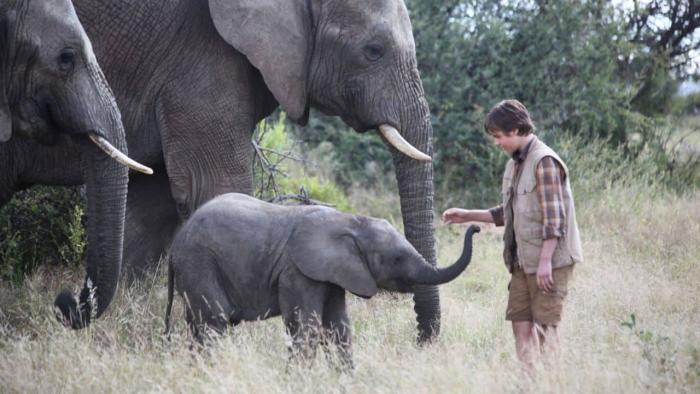 An Elephant's Journey Movie: Meet the Mate & Baby