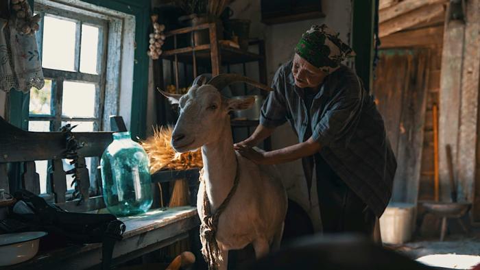 Animals in War: A Ukranian old woman pets a goat inside of her home