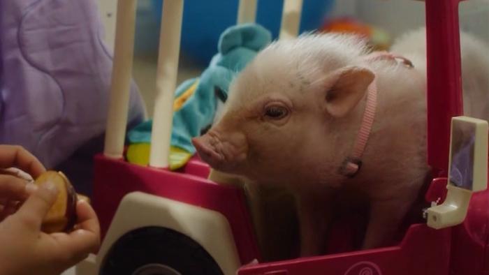 Arlo The Burping Pig Movie: Scene #1