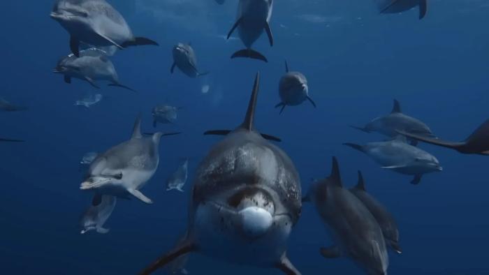 Ocean with David Attenborough: A pod of dolphins swim through the ocean together