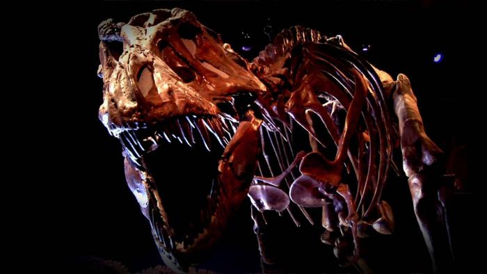 Bizarre Dinosaurs Movie: Scene #1
