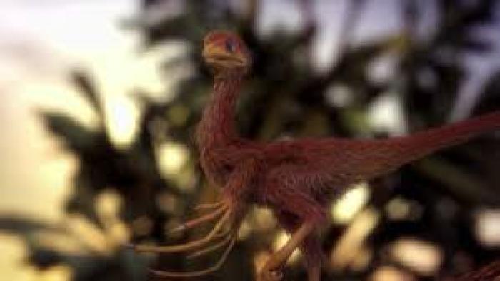 Bizarre Dinosaurs Movie: Scene #3