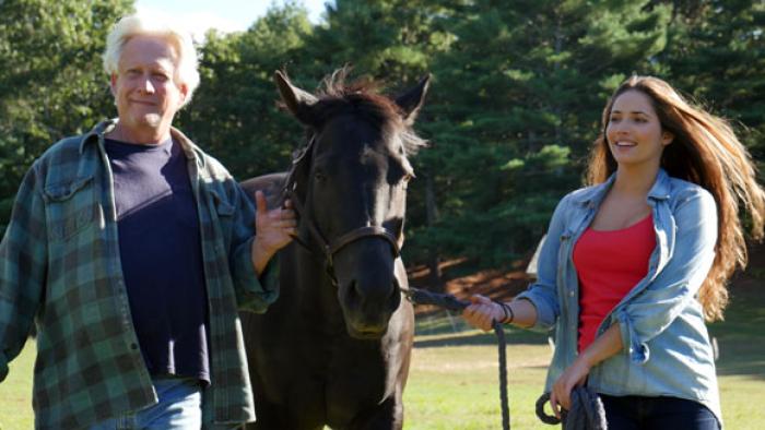 Black Beauty Movie: Scene #2