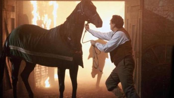 Black Beauty Movie: Scene #2