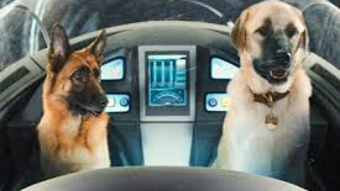 Cats & Dogs Movie: Scene 1