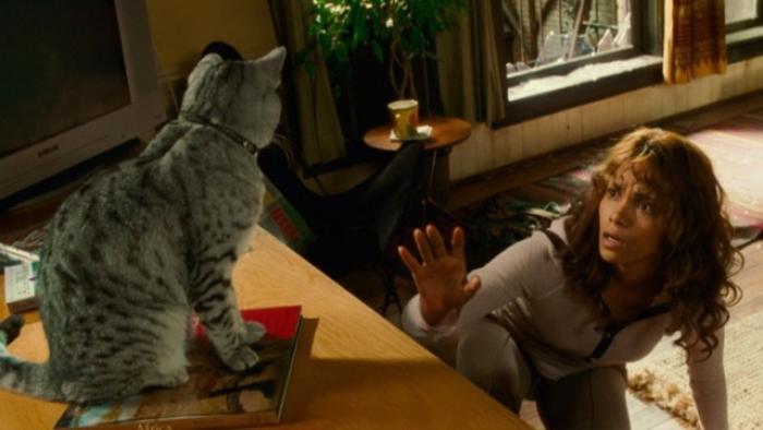 Catwoman movie: Woman crouching near a table with a gray cat on it, in a cozy living room